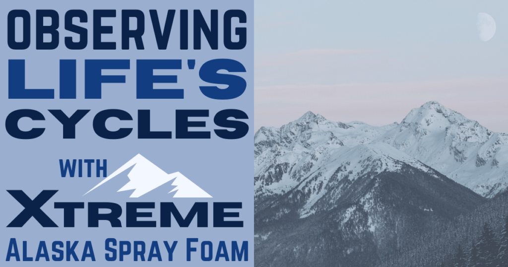 Observe Life’s Cycles with Xtreme Alaska Spray Foam
