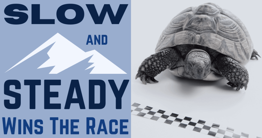 Slow and Steady Wins the “Race”